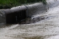 featured image thumbnail for post Washington State Stormwater Sustainable Management