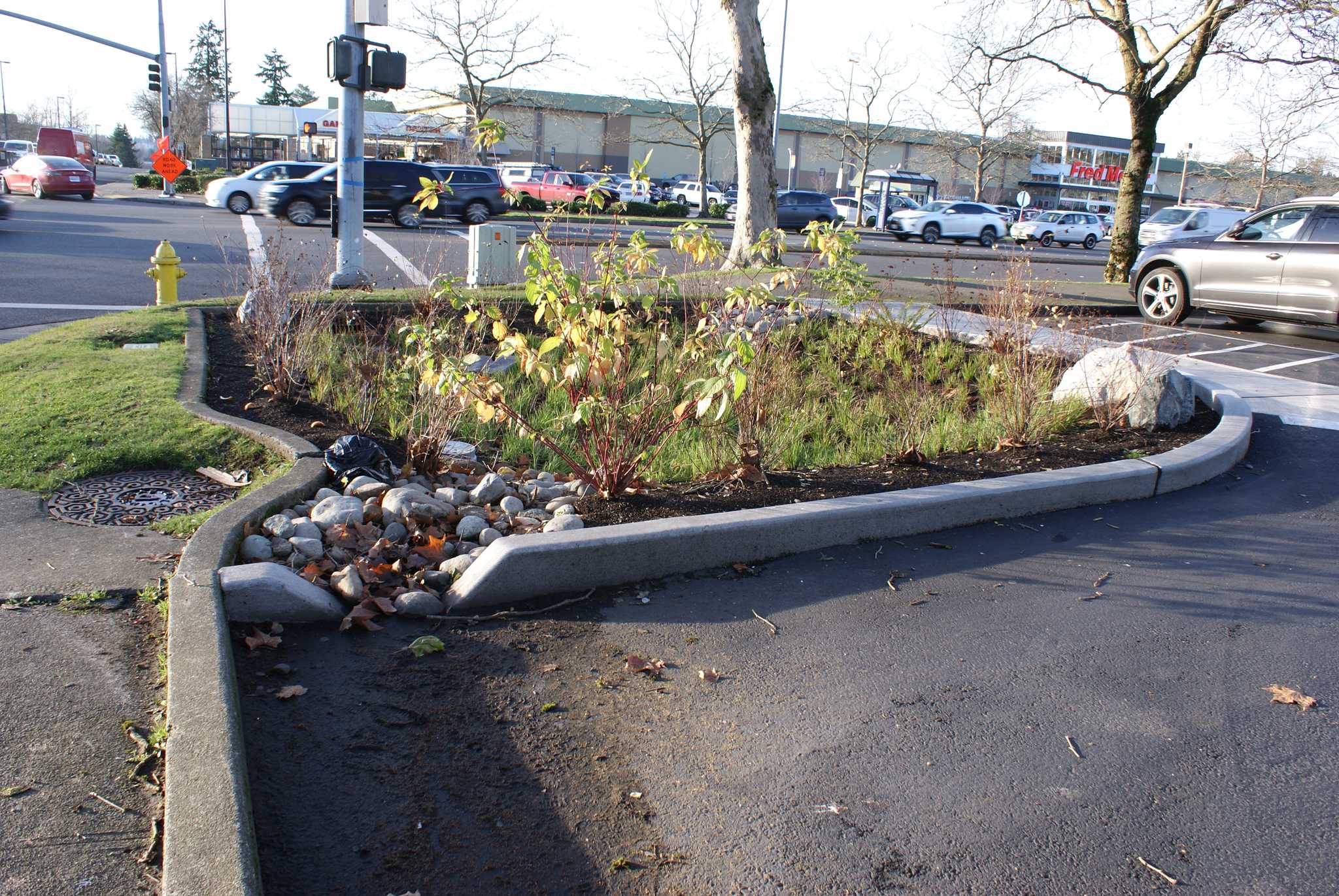 Parking lot rain garden for stormwater management